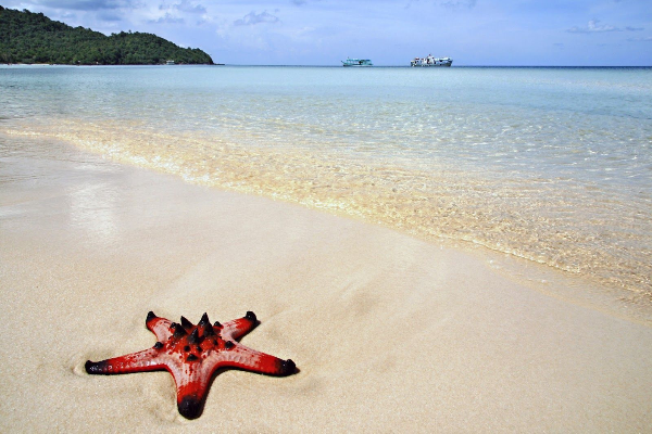 1D Phu Quoc Island South + Cano 3 islands - photo 7